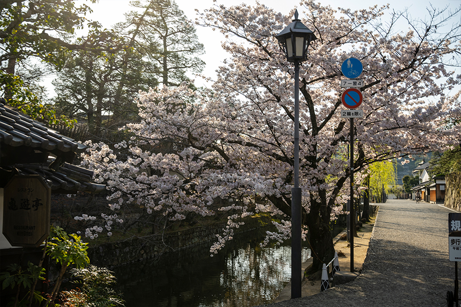 早朝の倉敷美観地区の景色