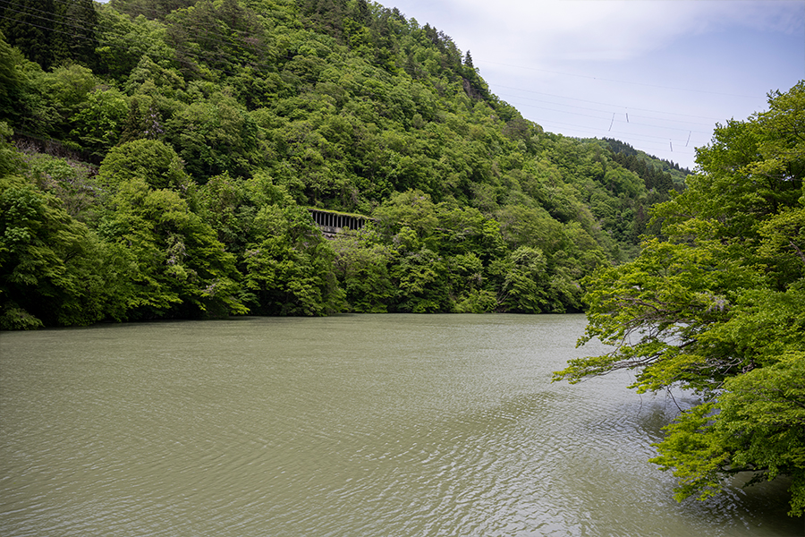 只見線の車窓からの景色