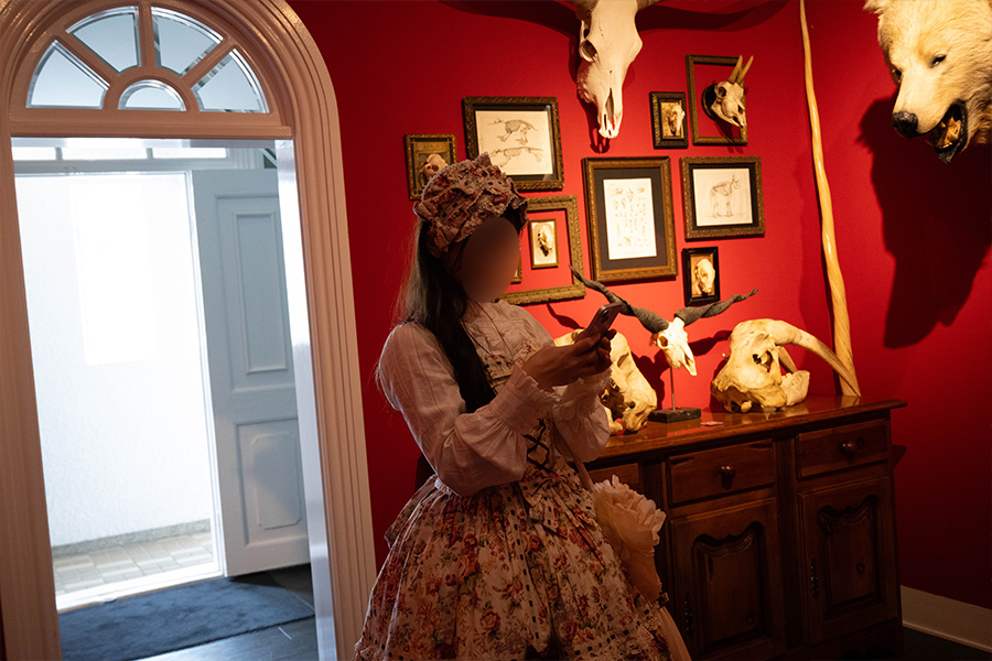 神戸北野異人館を見学するロリータ服の女の子